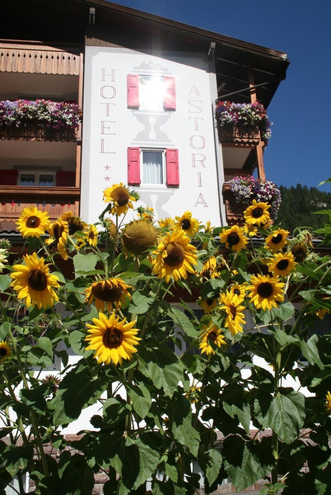 Hotel Astoria Canazei Dış mekan fotoğraf